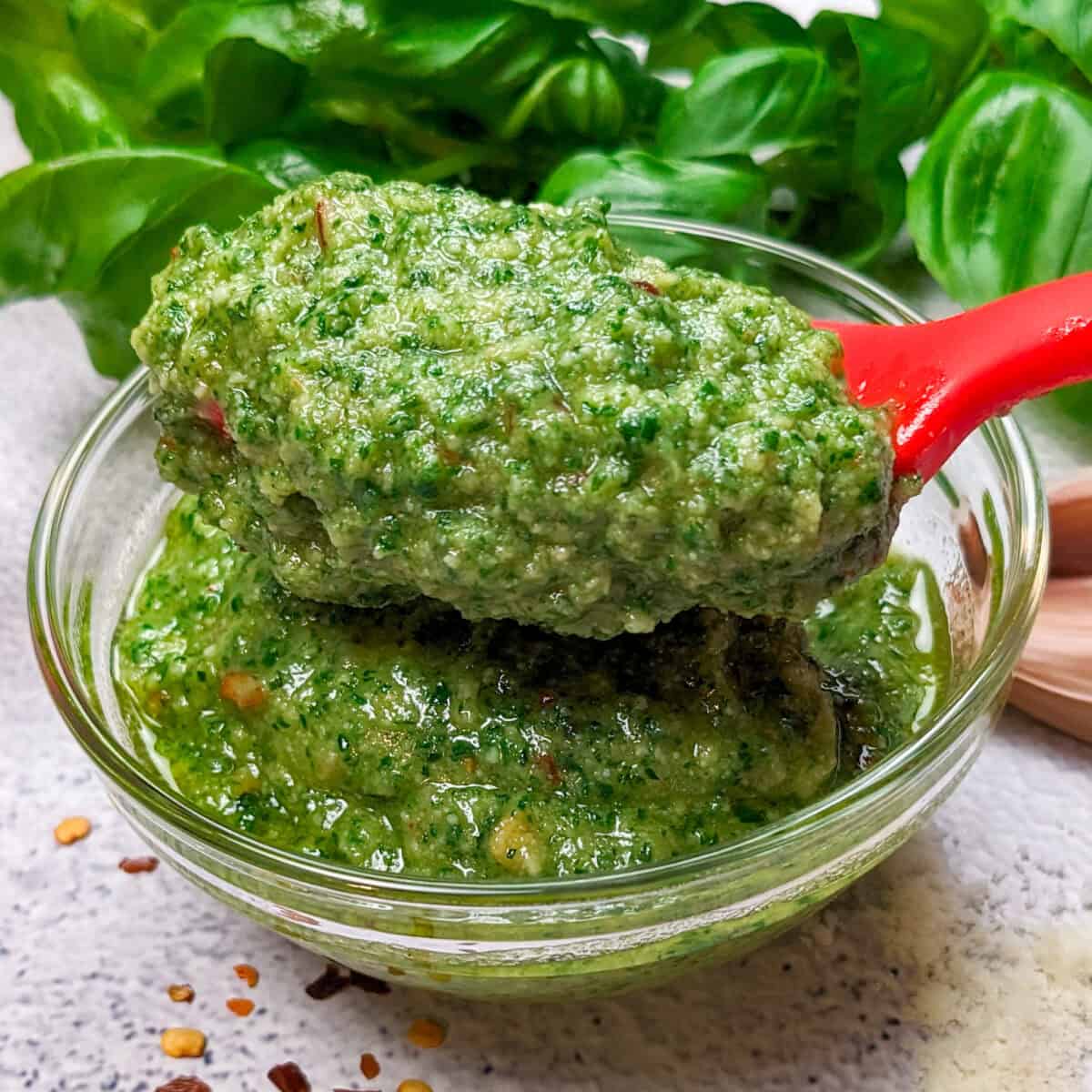 spicy basil pesto in glass bowl with a spoon and fresh basil in the background