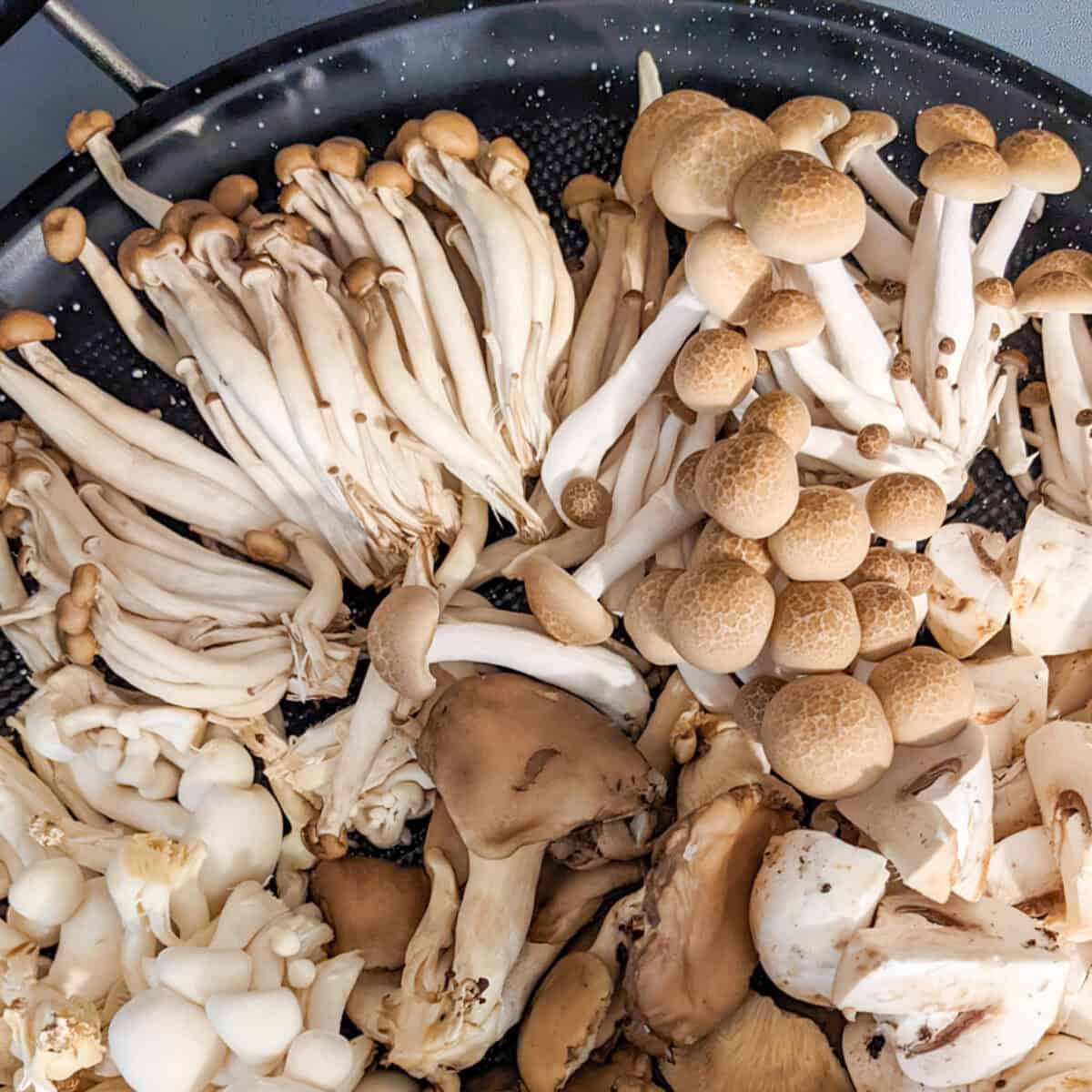 shitake and shimeji mushrooms – c.h.e.f