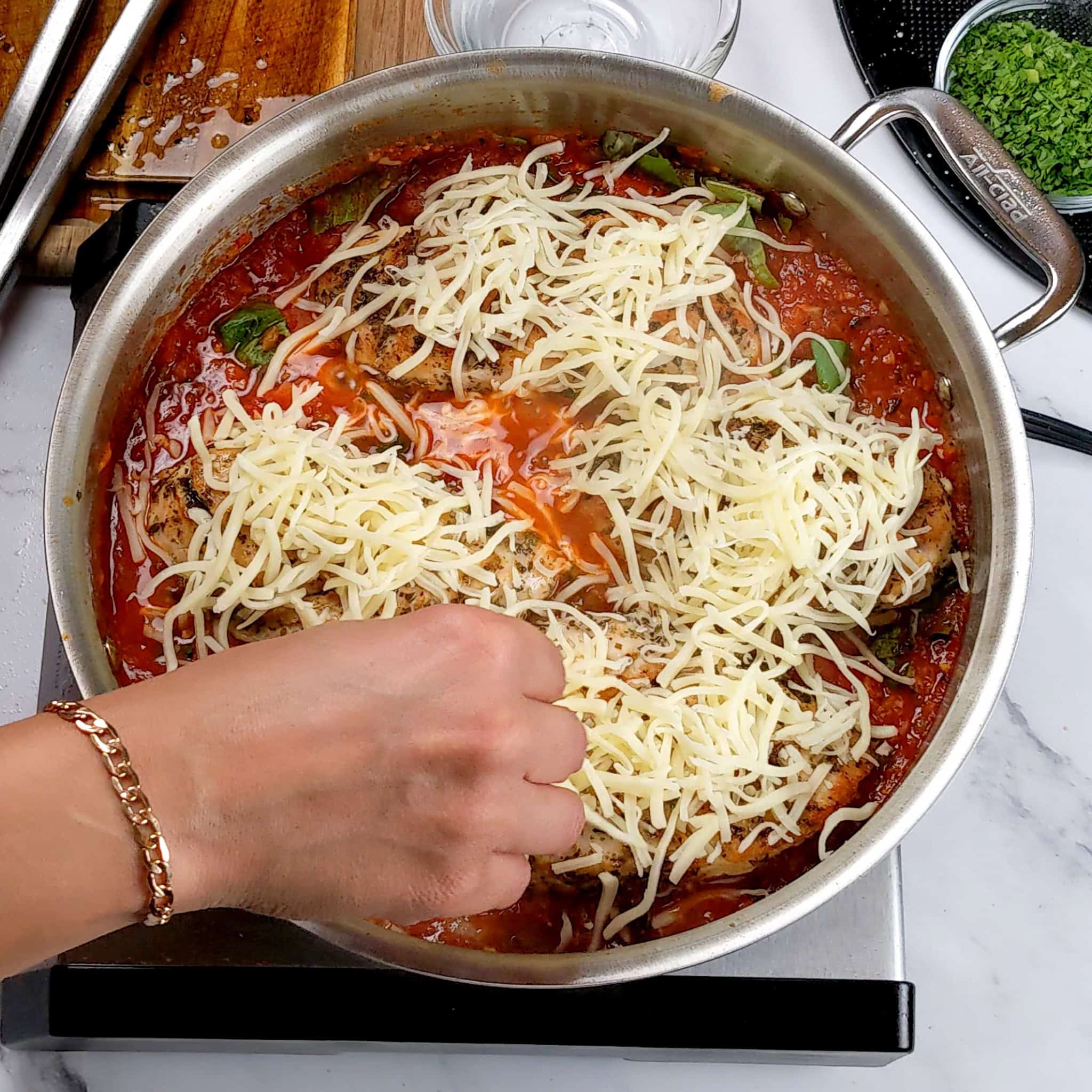 shredded mozzarella cheese being sprinkled on the chicken breast that's placed on top of the tomato basil sauce.