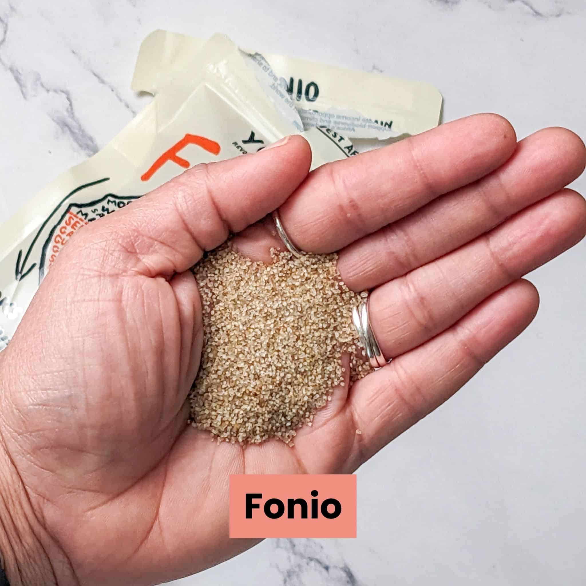 uncooked fonio grains held in hand.