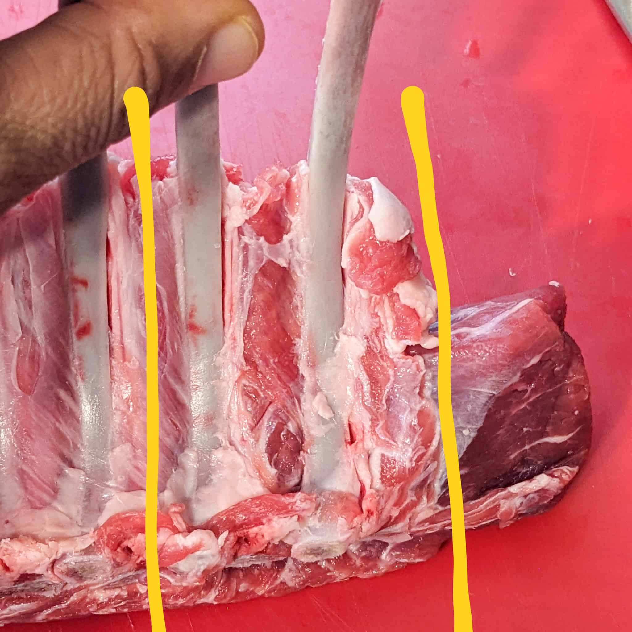 close up of lamb rack with two drawn lines showing where to cut, one to cut the extra meat off and the second after two bones.