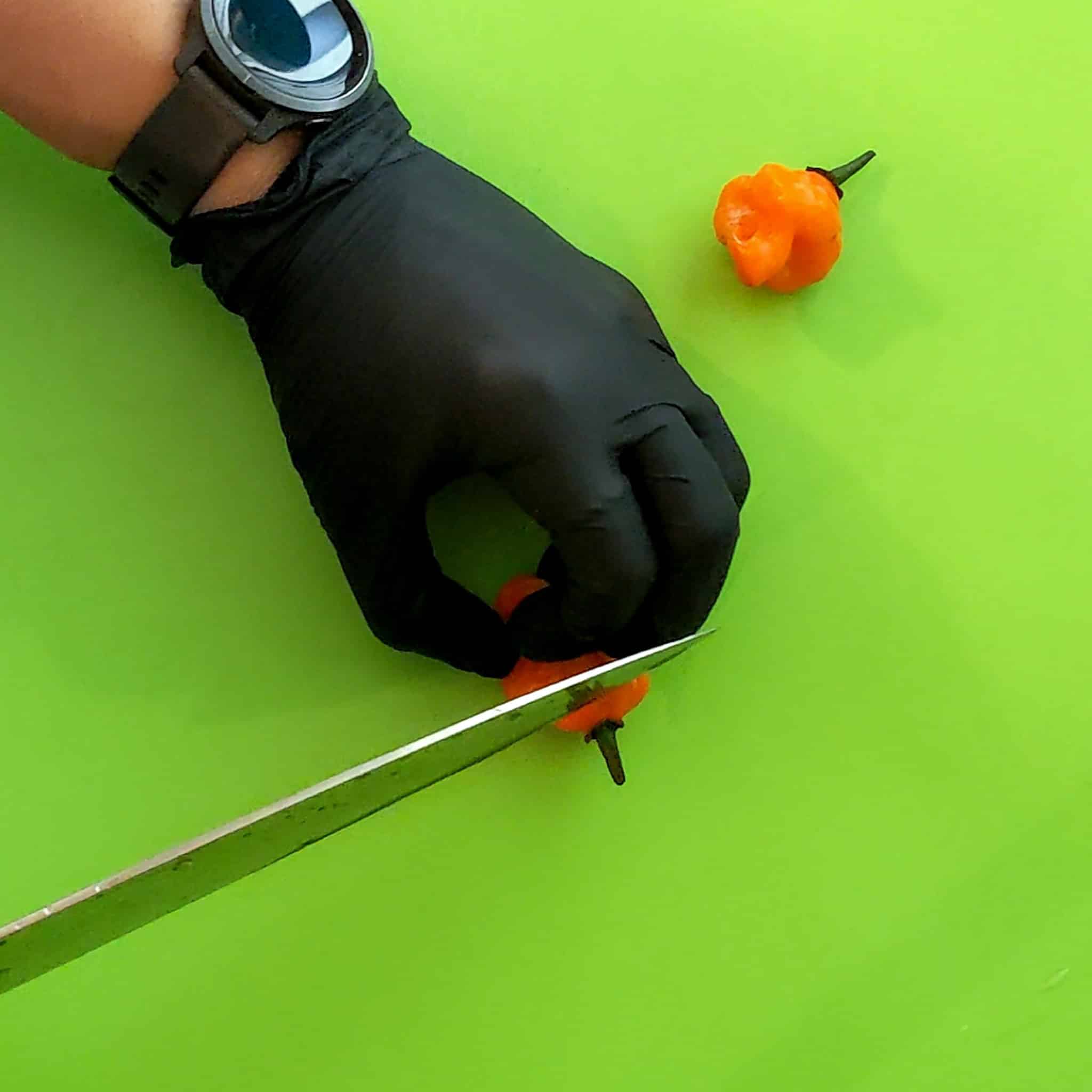 gloved hand holding the pepper down on a plastic cutting board mat and using a sharp knife to slice the stem of the pepper.