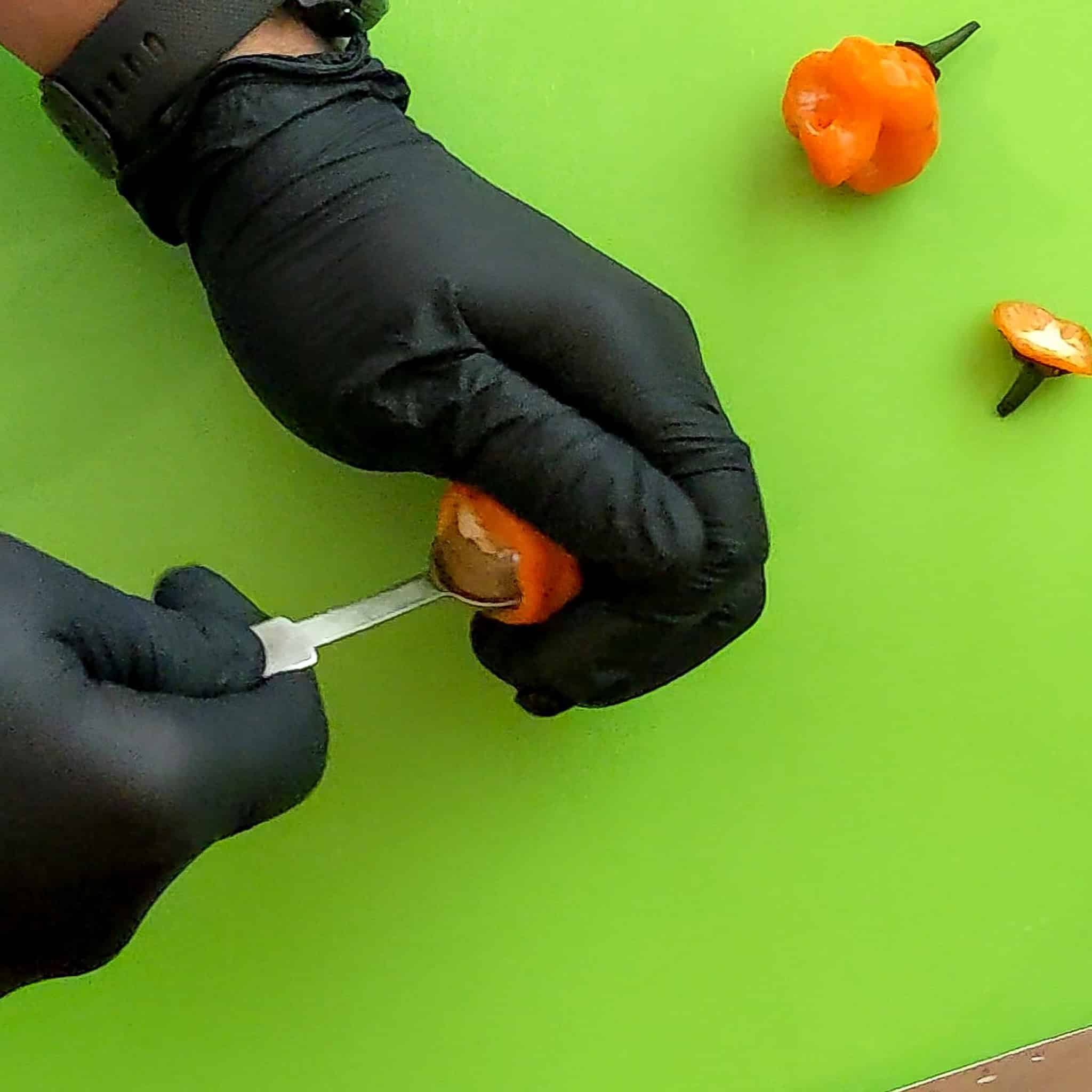 a measuring spoon is being used to scoop out the seeds from the pepper as part of the prepping chili peppers tutorial.