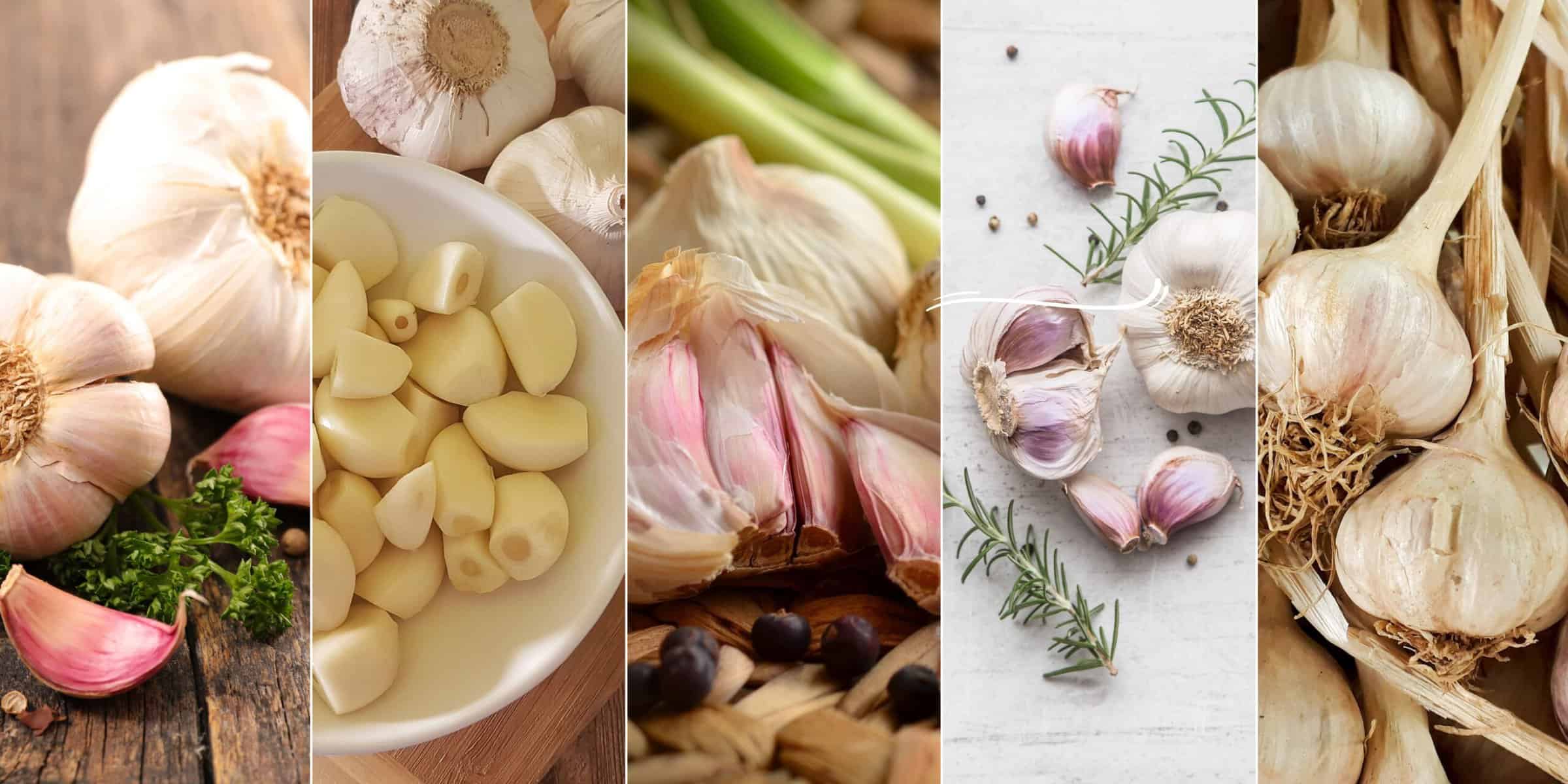 Versatile garlic collage showcasing bulbs, peeled cloves, and fresh sprouting garlic for culinary inspiration.