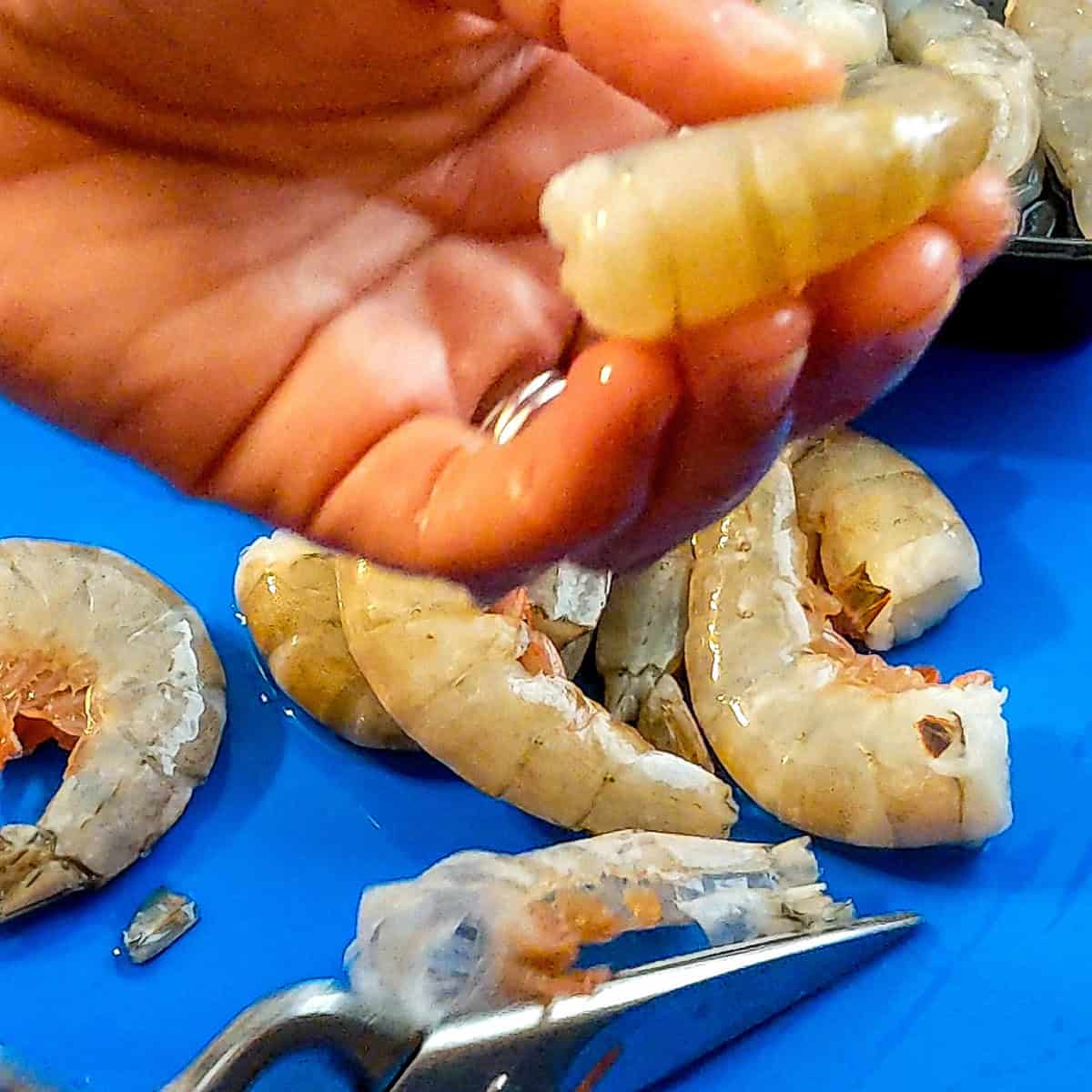 headless shrimp being shown while held in hand above a color coded cutting board mat for raw seafood with a pair of kitchen shears laying on the mat.