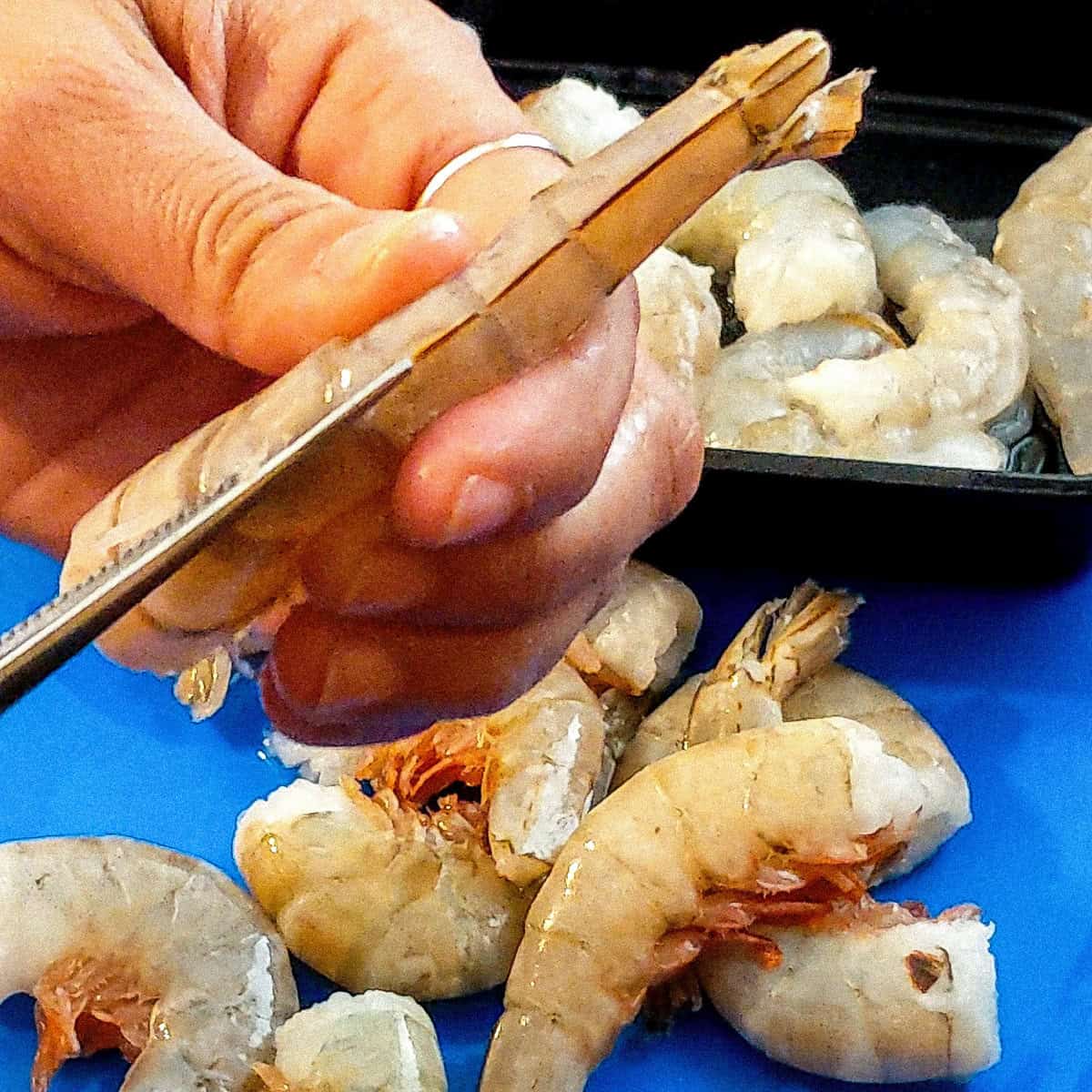 scissors cutting the back of the shrimp shell.