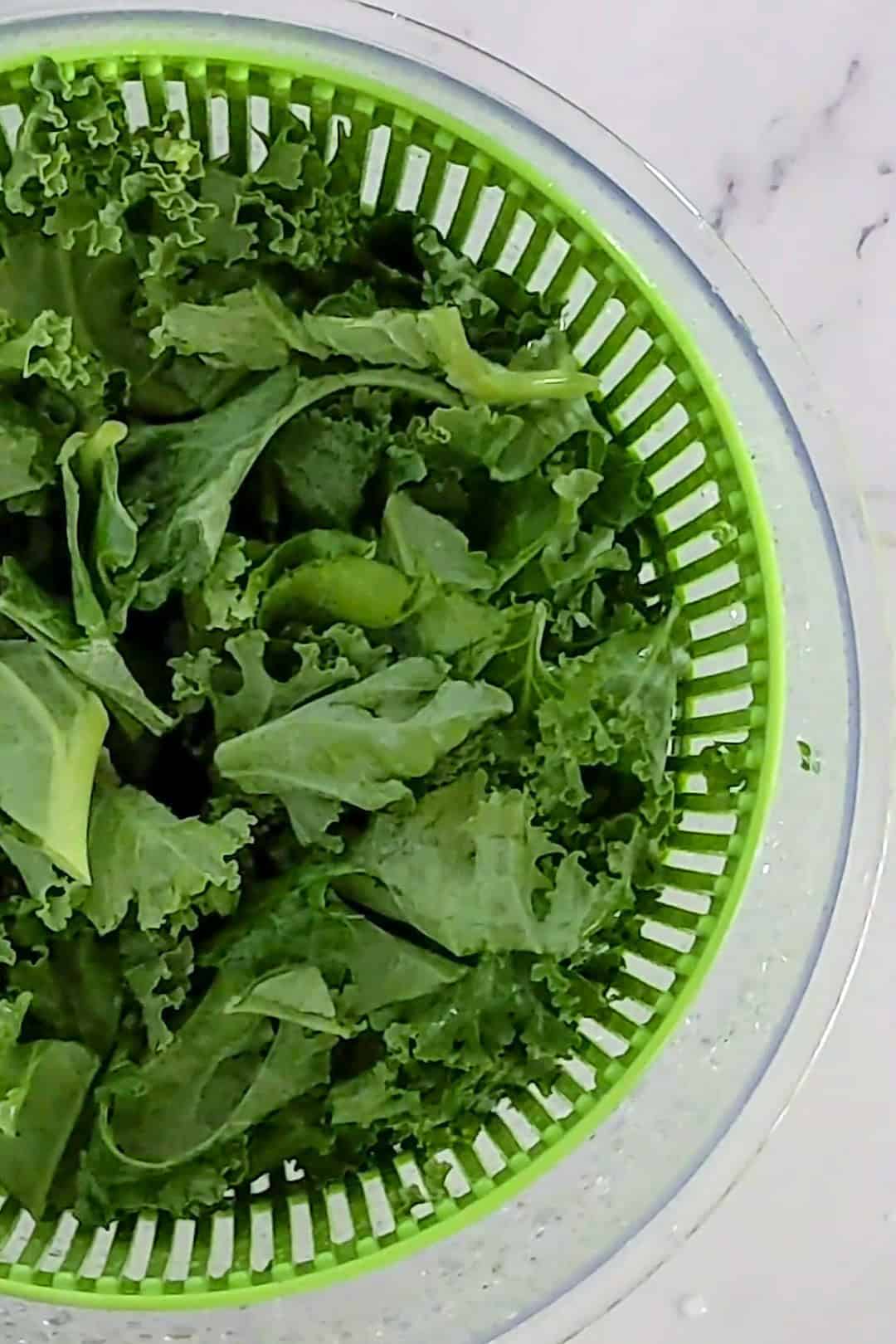 Vibrant leafy greens in a salad spinner for healthy meal preparation.