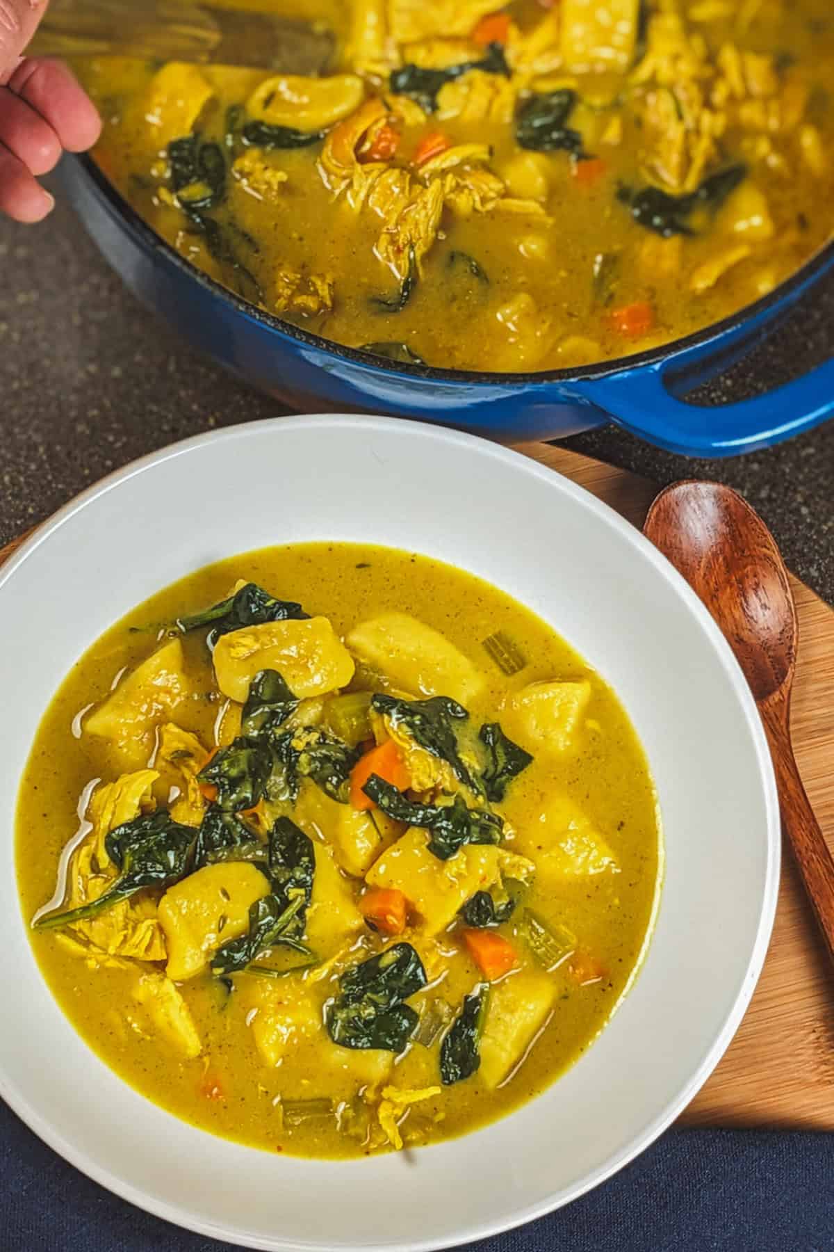 top view of the Creamy Curry Chicken Gnocchi Soup in a wide rim pasta bowl surrounded by the pot of soup