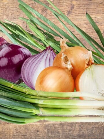 Onion family featured photo of leeks, red onions, white onionk, and scallions.