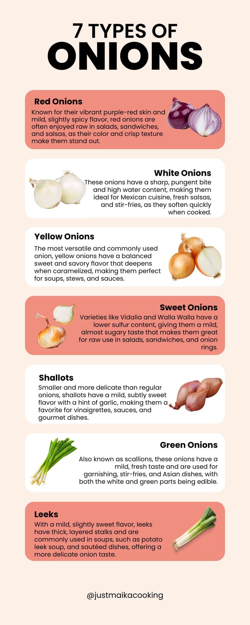 Infographic of 7 types of onions: White, Red, Yellow, Sweet, Shallots, Green Onions and Leeks.