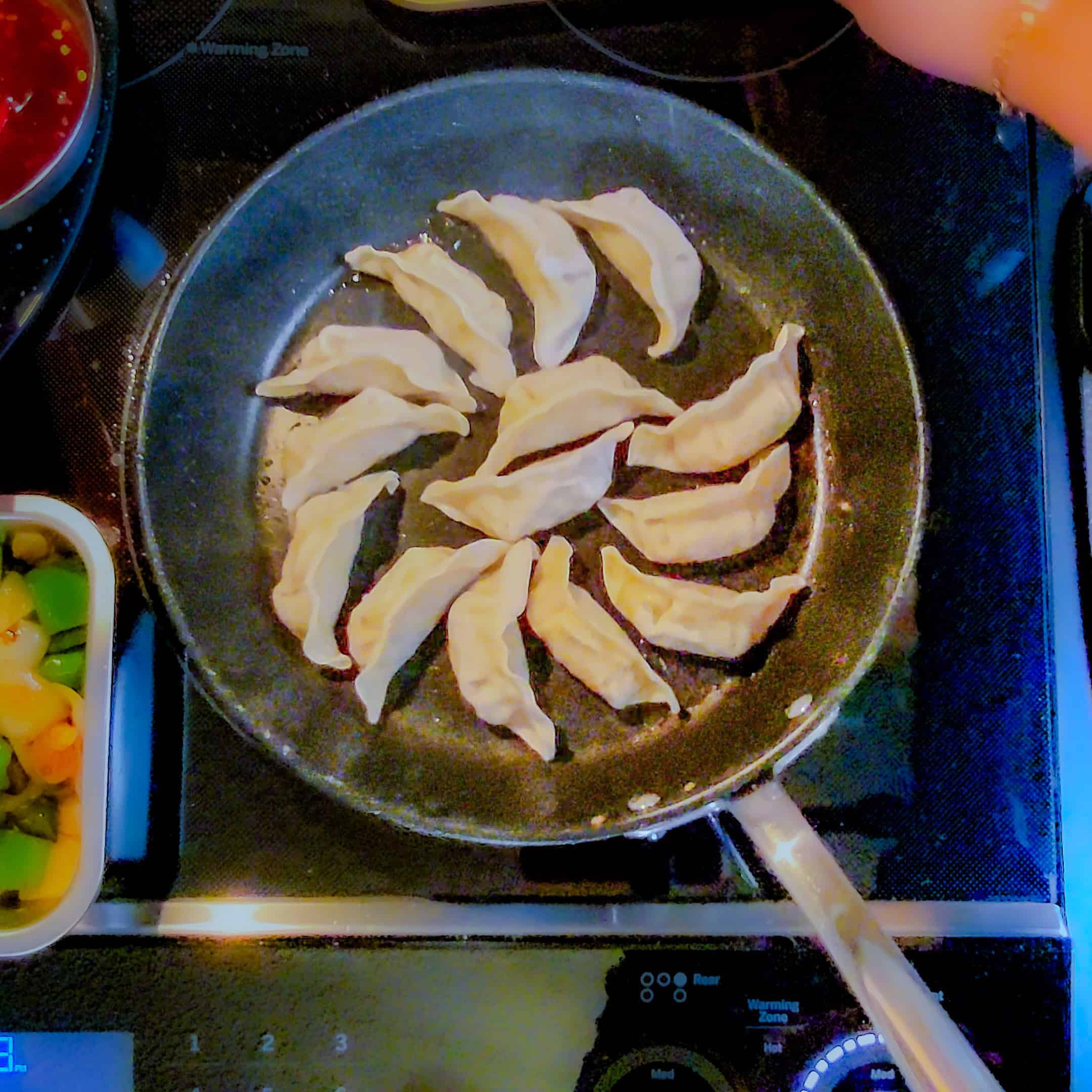 potstickers in a non stick saute pan for chili momo.