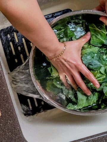 hands holding the greens with the bowl tilted to pour out the water.